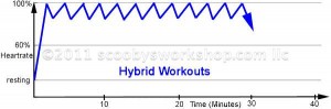 Hybrid Workouts