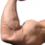 Bodybuilder arm