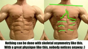 bodybuilder pec symmetry