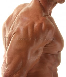 Bodybuilder shoulders