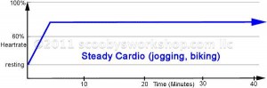 Steady Cardio