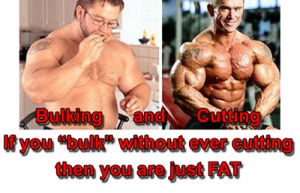 Bulking without Cutting is just being FAT