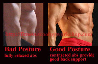 Abdominal Posture