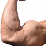 gain muscle