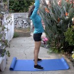 Modified burpee (starting position)