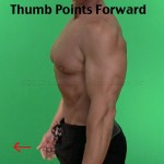 Thumbs Pointing Forward Indicates Good Shoulder Posture