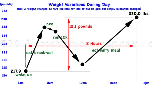 How weight varies during the day due to hydration changes