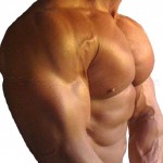 Intermediate Home Bodybuilding Workout