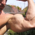 bodybuilder arm