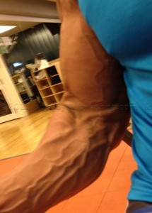 Huge Vascular Bodybuilder Arms