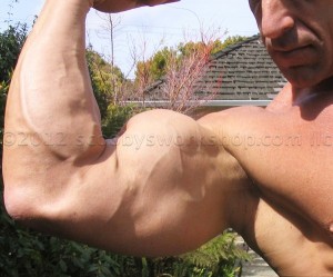 bodybuilder triceps