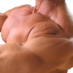 10 secrets for huge pecs