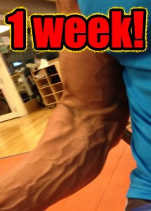 ripped-and-vascular-in-one-week