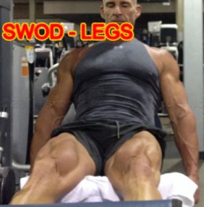 Leg extensions for quads