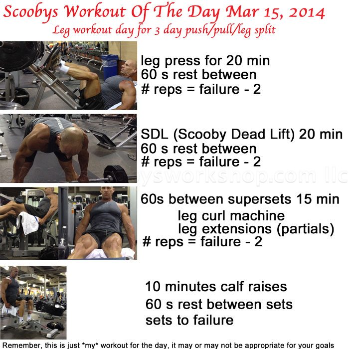 scoobys workout of the day