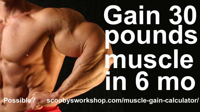 gain-30-pounds-muscle-in-6-months