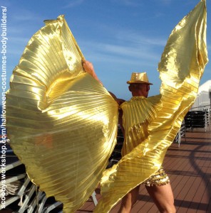 Gold Wings Halloween Costume - back