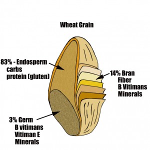 wheat-grain