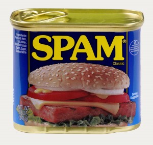 Spam-low-carb-diet