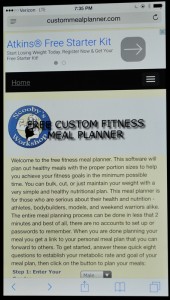 best fitness meal planner