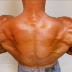 natural bodybuilder scooby  shoulders traps back