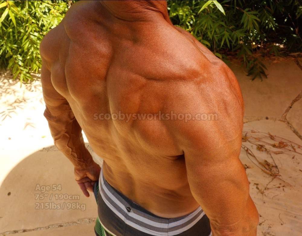 natural bodybuilder scooby shoulders traps back