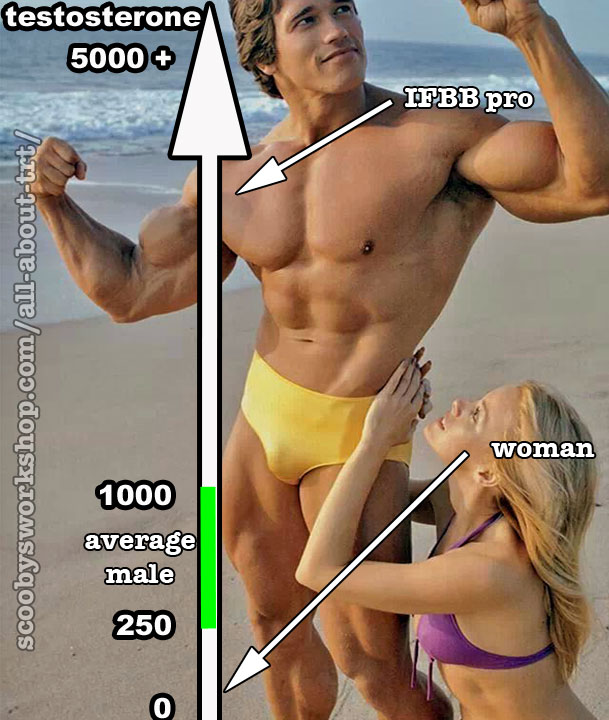 men-women-testosterone-levels