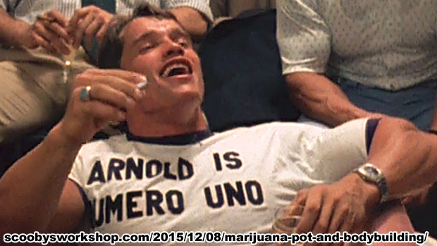 Arnold-Schwarzenegger-Marijuana-Bodybuilding