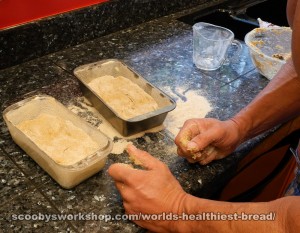 worlds healthiest home made bread rise-again