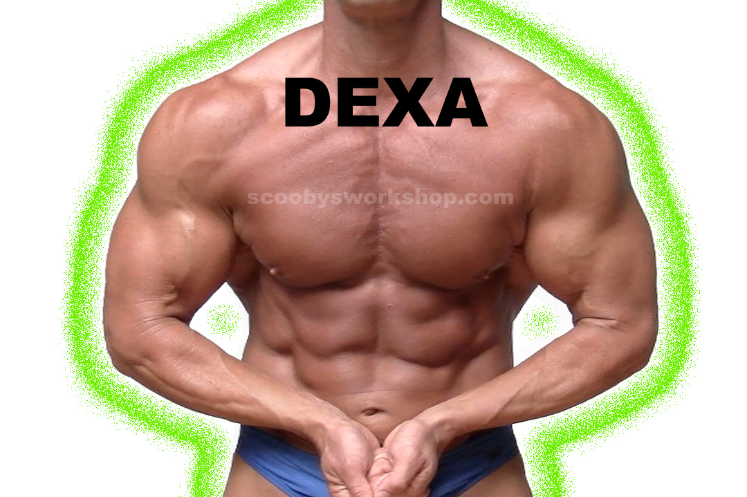 DEXA-SCAN-BODYBUILDER-BODY-FAT-Radiation