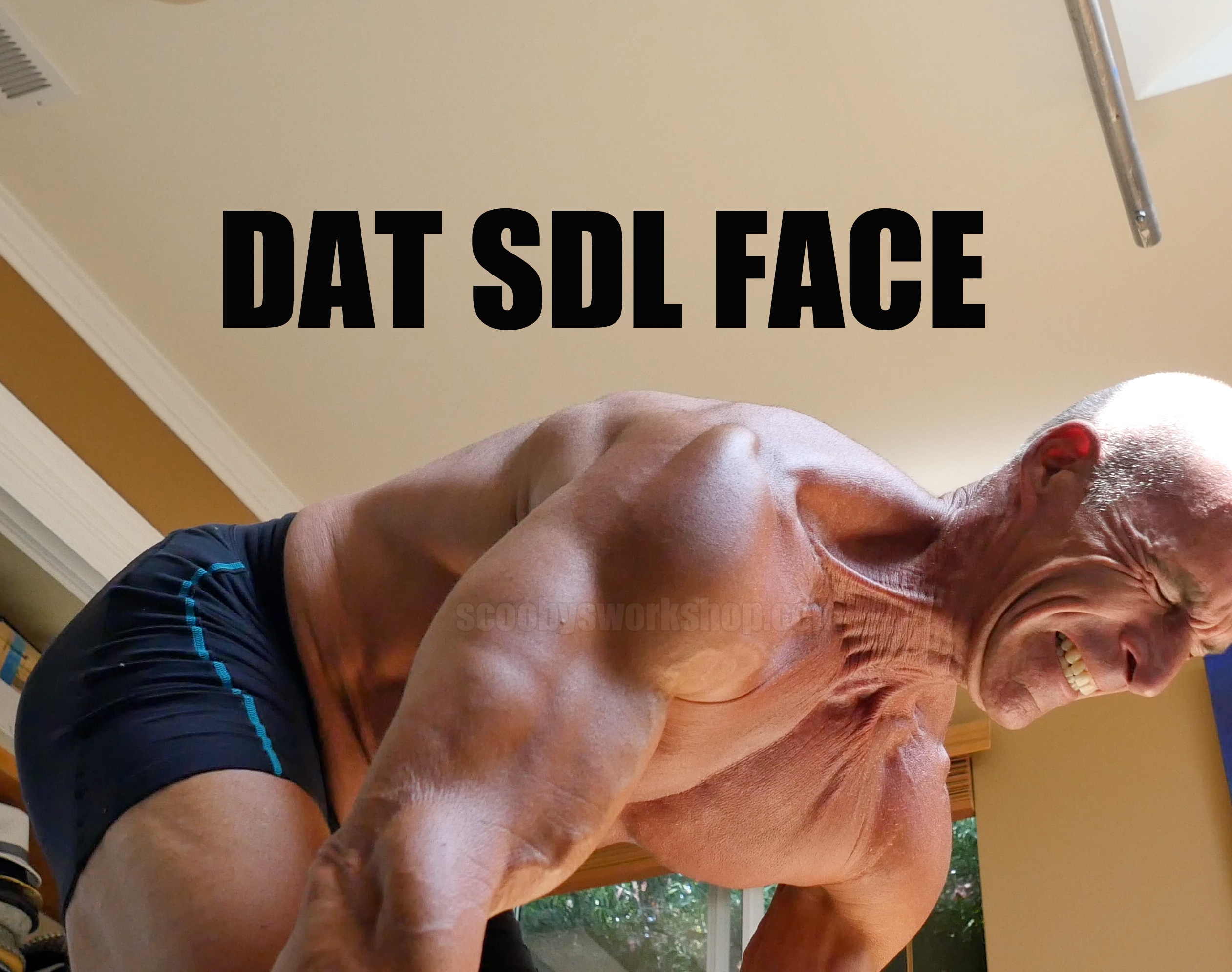 Dat-SDL-Face