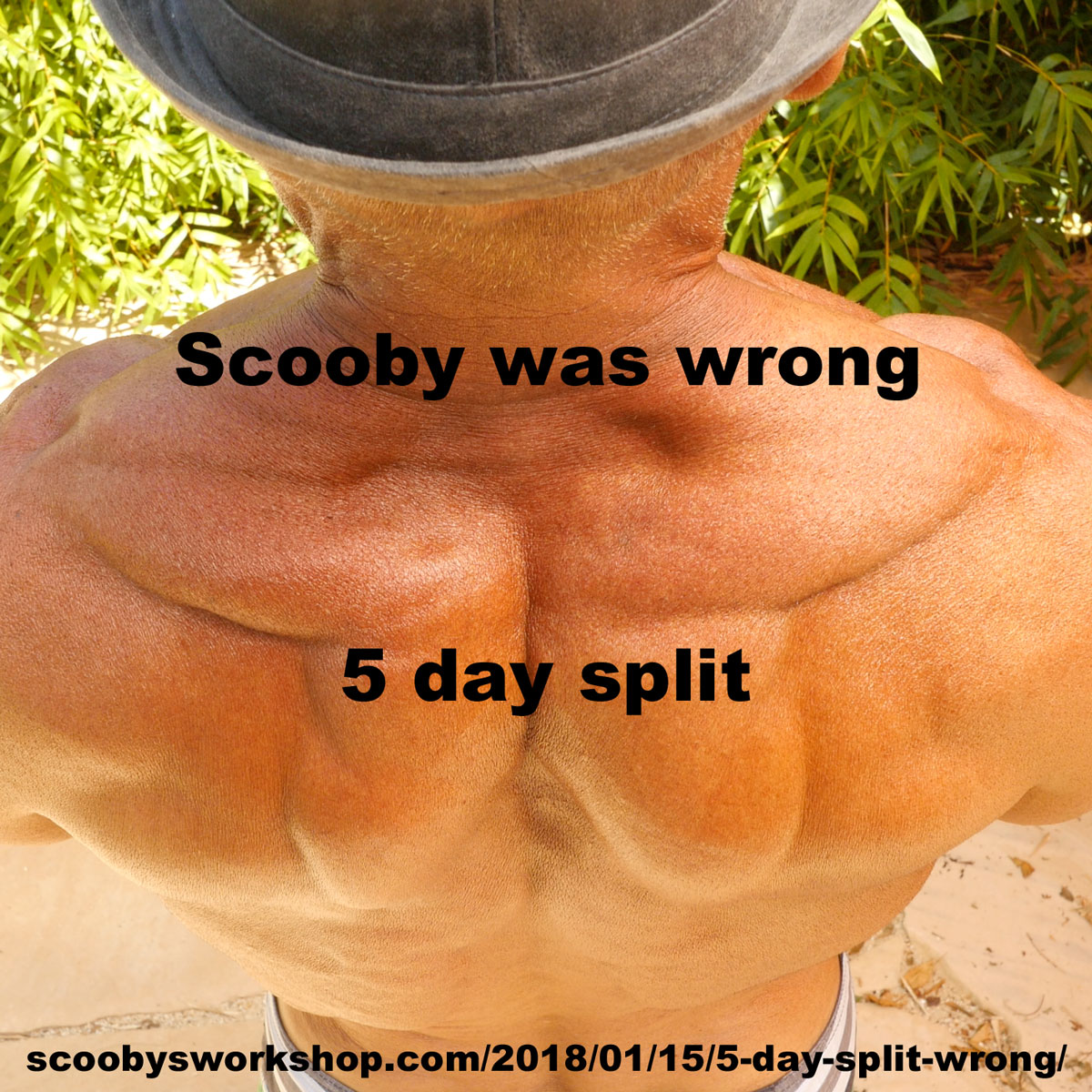 Scooby-was-wrong-5-day-split