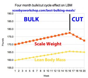 bulk-cut-cycle
