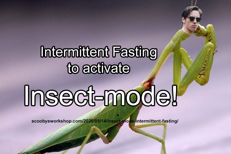 Activate-insect-mode